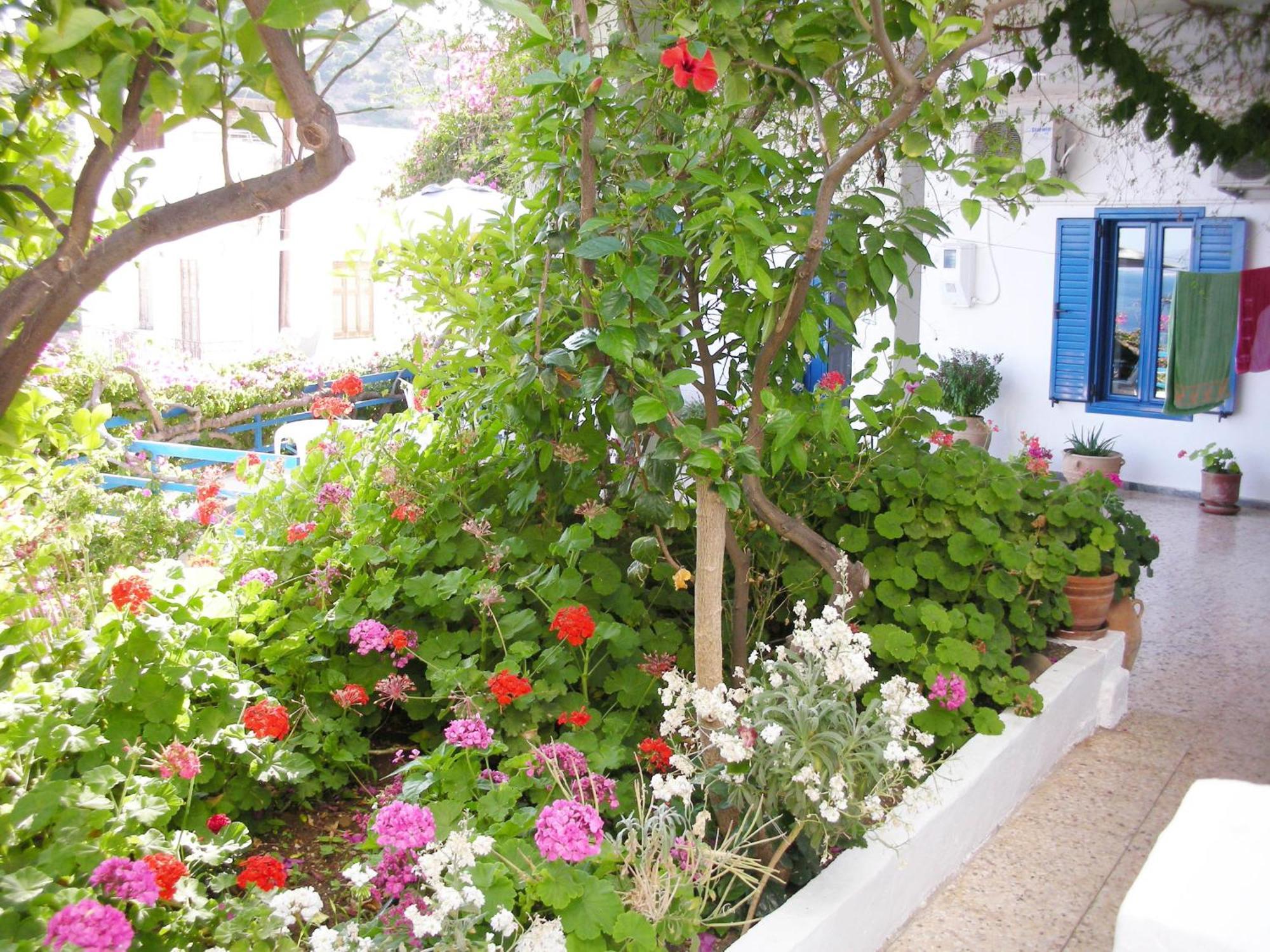 Hotel Hariklia Agia Galini Extérieur photo